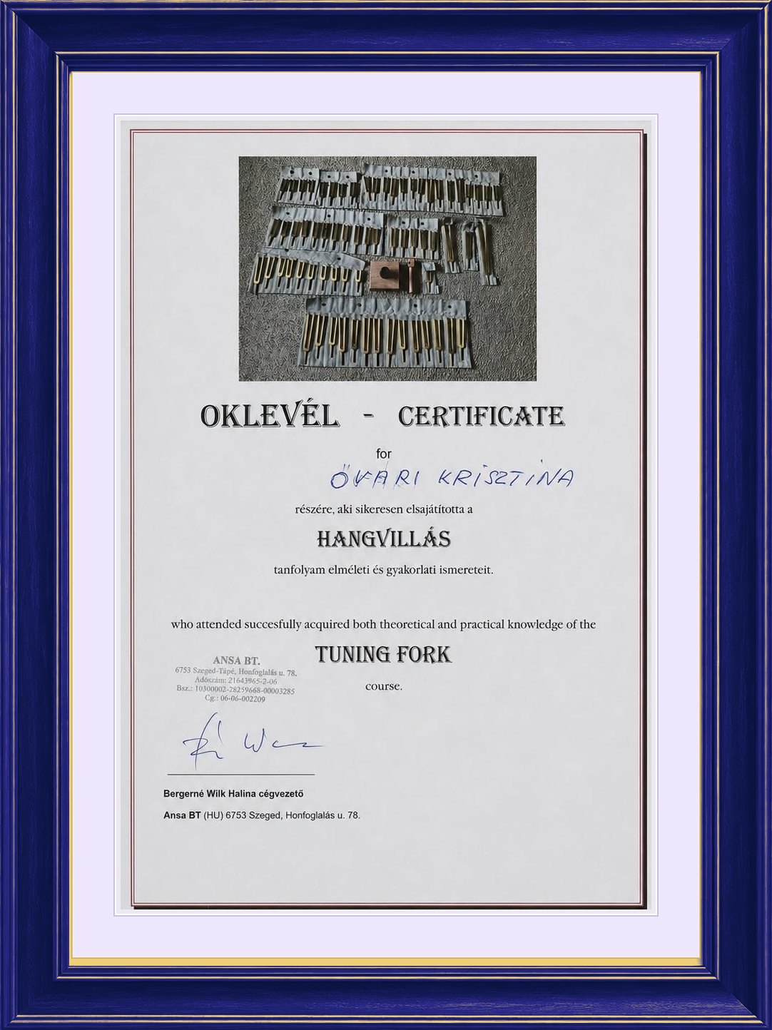 Oklevél: Hangvillás tanfolyam, Óvári Krisztina